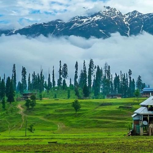 listing-details-carousel